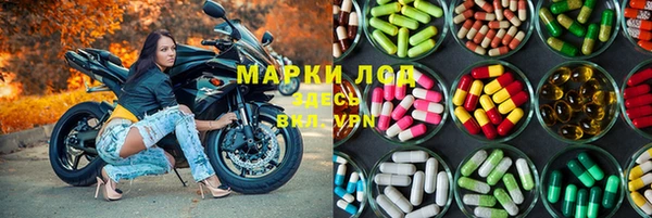 стафф Баксан