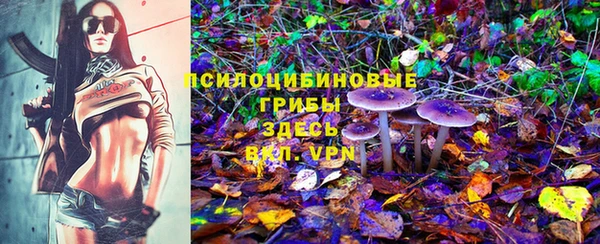 стафф Баксан