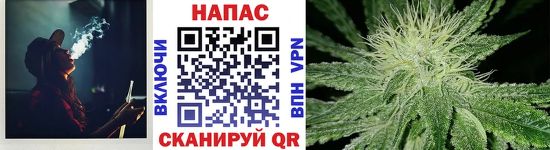Канабис сатива  Лаишево 
